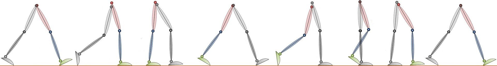 Stick-figure sequence of one gait cycle from initial contact to terminal swing